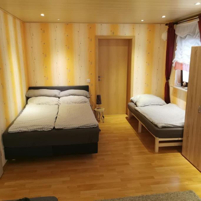 Fewo Albrecht Direkt Am Diemelsteig Diemelsee Extérieur photo
